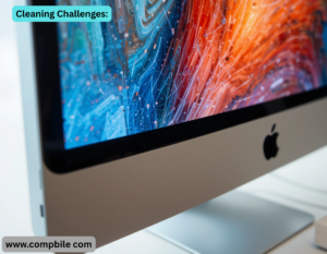 Cleaning Challenges: