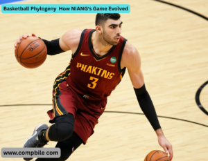 Basketball Phylogeny How NIANG's Game Evolved