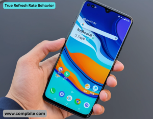 True Refresh Rate Behavior