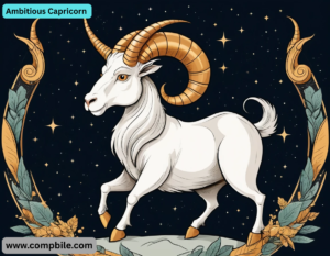 Ambitious Capricorn