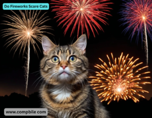Do Fireworks Scare Cats