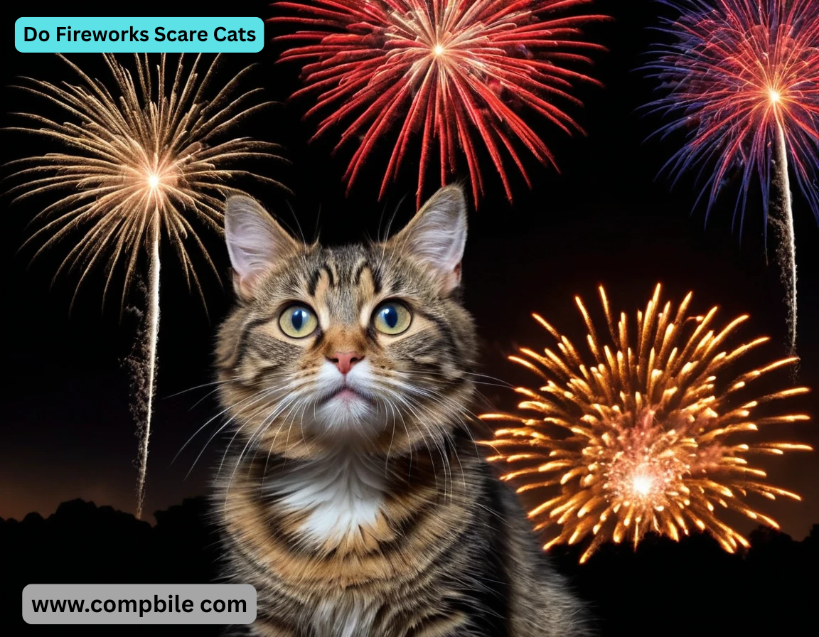 Do Fireworks Scare Cats