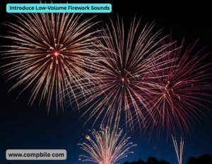  Introduce Low-Volume Firework Sounds