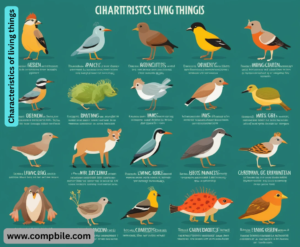 Characteristics of living things