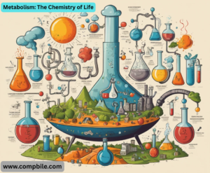 Metabolism: The Chemistry of Life