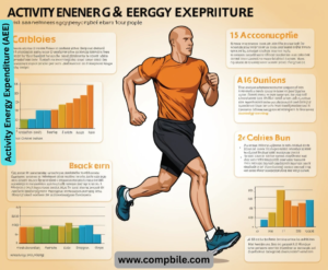 Activity Energy Expenditure (AEE)