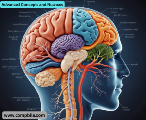 Advanced Concepts and Nuances
