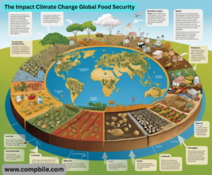 The Impact Climate Change Global Food Security