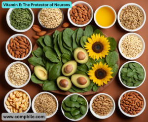 Vitamin E: The Protector of Neurons
