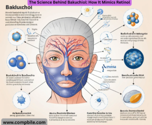 The Science Behind Bakuchiol: How It Mimics Retinol